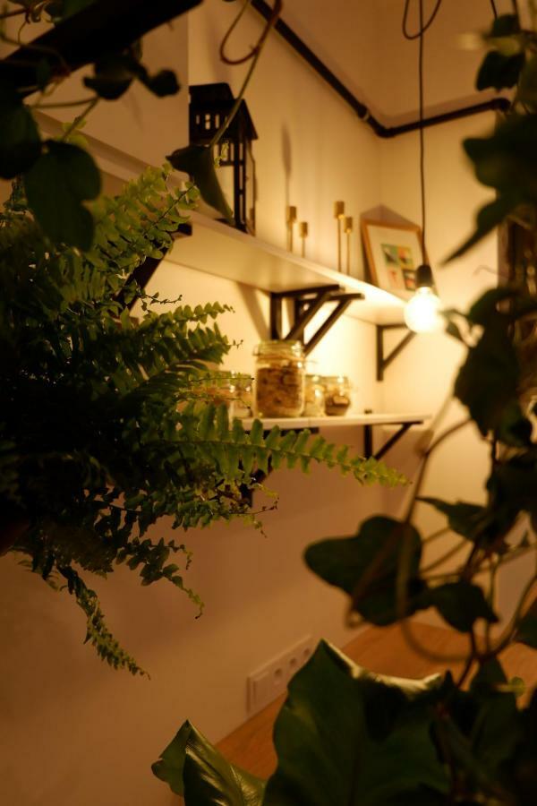 Singer Apartment Old Town Krakow Ngoại thất bức ảnh